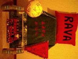 0DIA 1984 RAVA PUPS 1